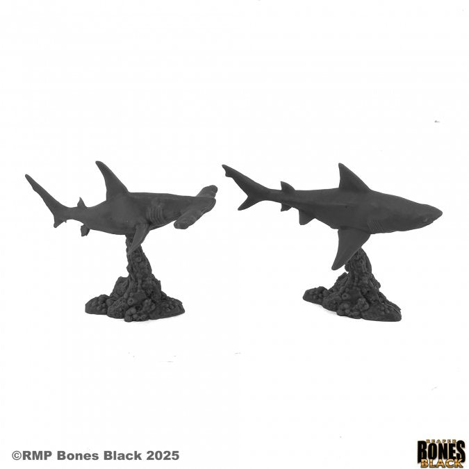 RPR Sharks (2)