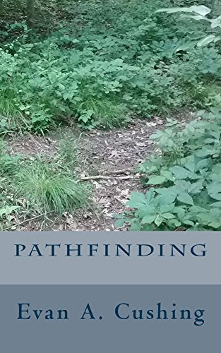 Pathfinding by Evan A Cushing